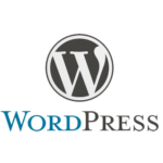 Launch-WordPress-website